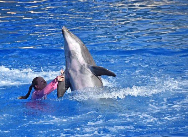 Trainer with dolphin — Stock Photo, Image