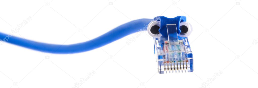 Connector rj-45 on blue patch cord. Snake-shaped plug with funny googly eyes. Close up macro isolated on white background, banner size.
