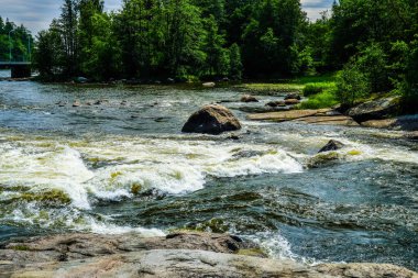 Finlandiya, Kotka: Langinkoski Kotka 'daki Kumi nehrinde akıntıya kapıldı. Sert kuzey doğası. Rusya İmparatoru III. Alexander 'ın en sevdiği balık tutma yeri..