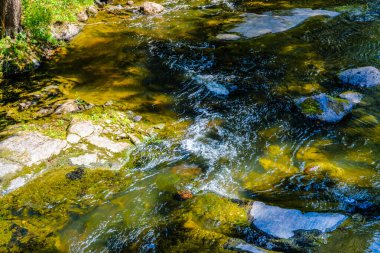Finlandiya, Kotka: Langinkoski Kumi nehrinde akıntıya kapıldı. Granit kayalarla hızlı orman deresi.