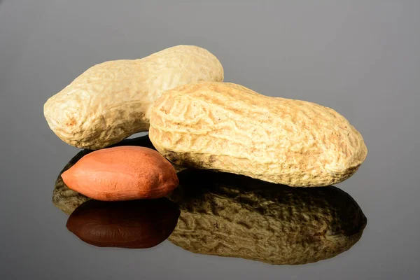 Peanut Glossy Grey Surface Reflection Two Ripe Whole Real Peanut — Stock Photo, Image