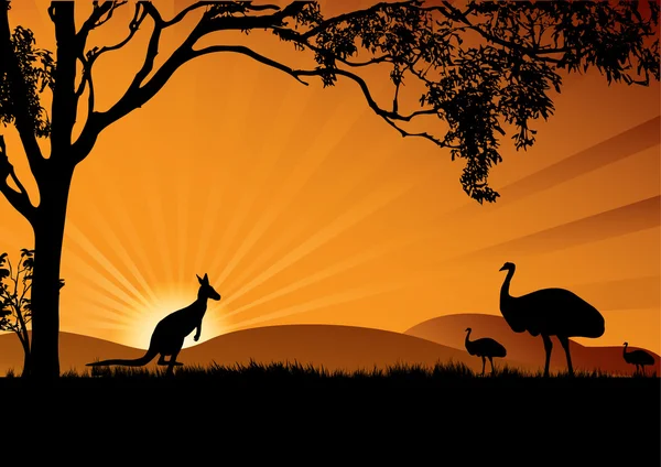 Emu canguru por do sol — Vetor de Stock