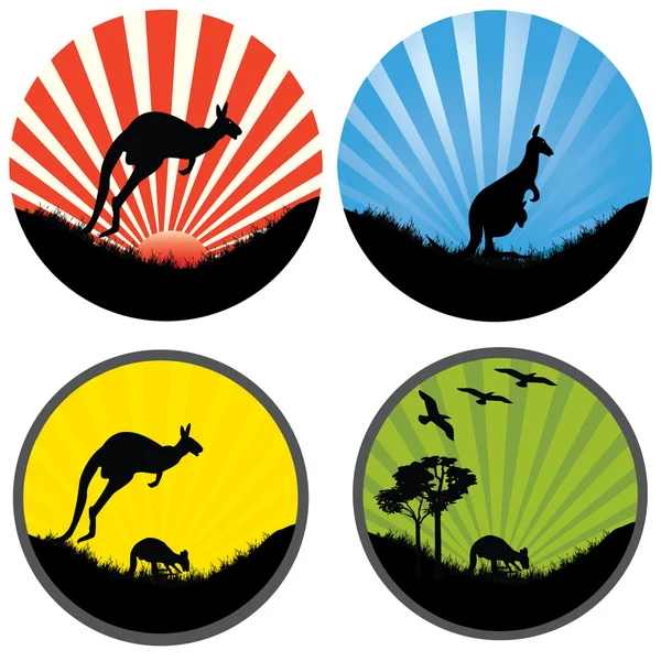 Czterech kangur w okręgu — Wektor stockowy