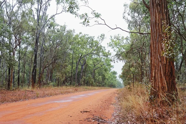 Australian bush road — Zdjęcie stockowe