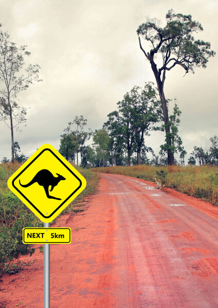 sign and kangaroo in the outback road