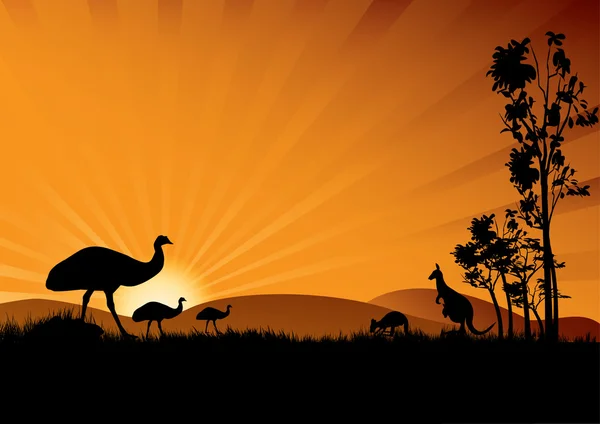 Emu au coucher du soleil — Image vectorielle