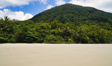 Cape Tribulation yağmur ormanlarından sahile doğru ilerliyor. Özel bir deneyim.