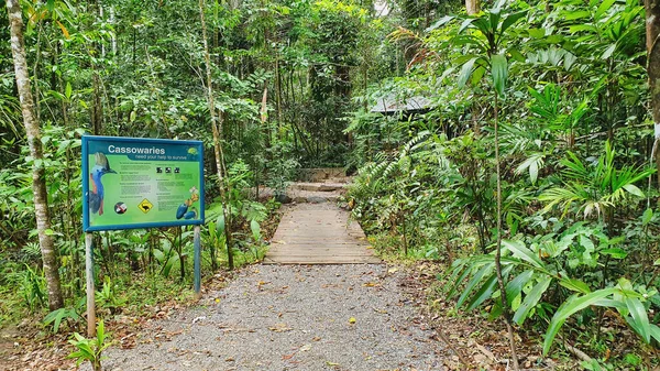 Cabo Tribulación Selva Tropical Daintree Noreste Cairns Queensland Signo Casuística — Foto de Stock