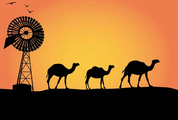 3羽の鳥が飛んでいる日没のオーストラリアのラクダと風車のシルエット — ストックベクタ