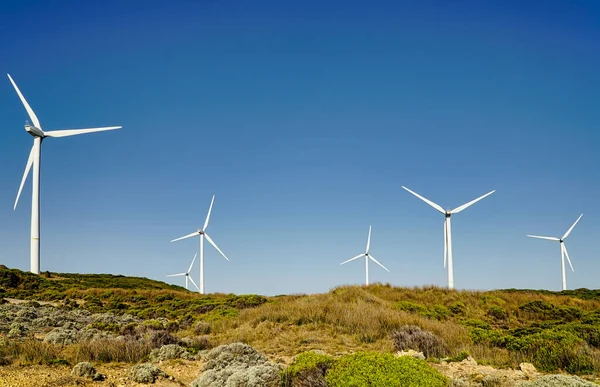 Landblick Auf Grasland Und Windpark Cape Bridgewater — Stockfoto