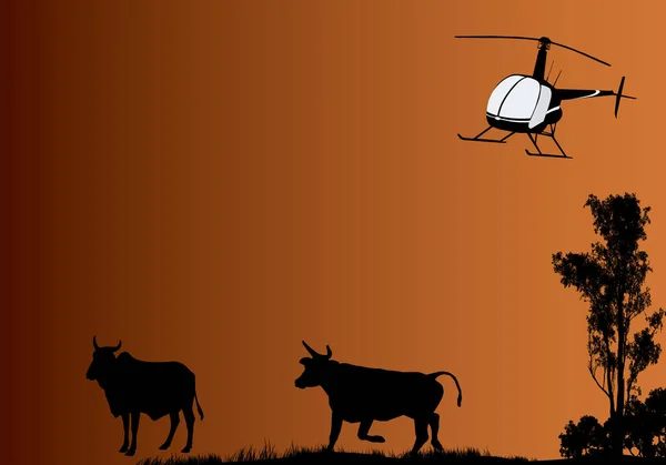 Mengumpulkan Waktu Dengan Helikopter Pedalaman Australia - Stok Vektor