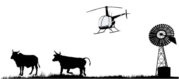 Zeit Mit Dem Helikopter Australischen Outback Kühe Windmühle Und Hubschrauber — Stockfoto