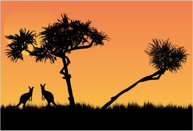 Pandanus ağaçları ve kanguru gün batımında
