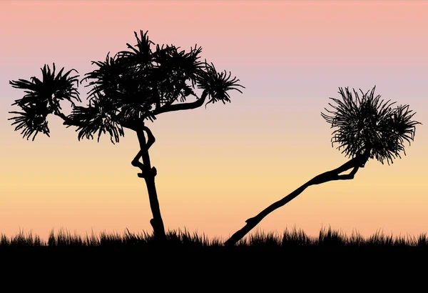 夕日に つのパンダナスの木 — ストックベクタ