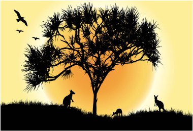 Yeşil arka planı olan bir pandanus ağacı.