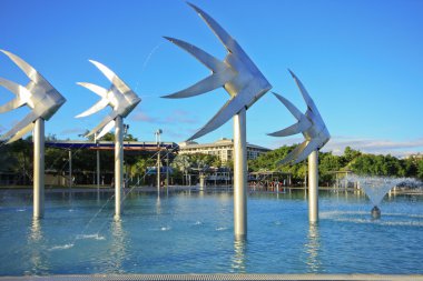 Cairns esplanade 1237