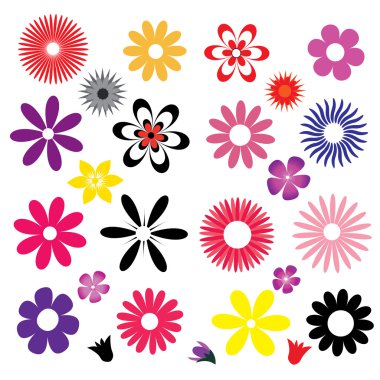 bir dizi renkli çiçekler