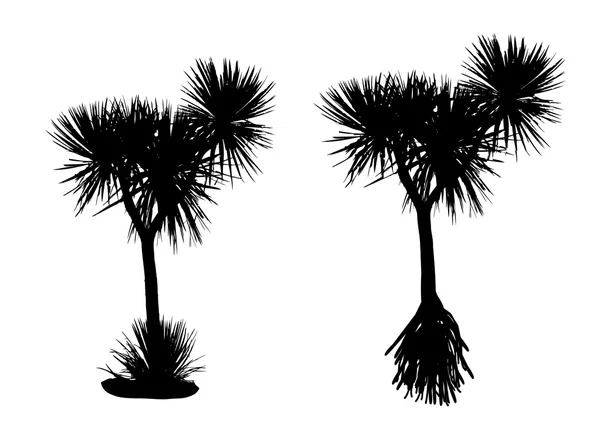 Pandanus Boom silhouet — Stockvector