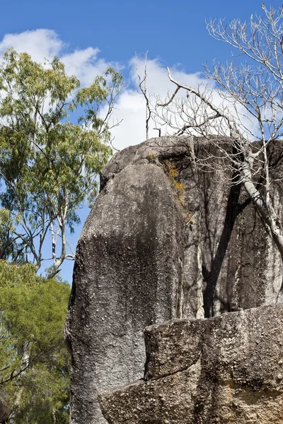 Granite Gorge Mareeba in north Queensland — Stockfoto