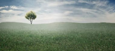 A misty scene with a solitary tree stands in a wide, grassy field beneath a cloudy blue sky, conveying calm, openness, and natural beauty.