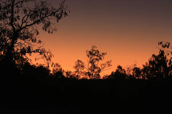 Heller Sonnenuntergang im australischen Busch — Stockfoto