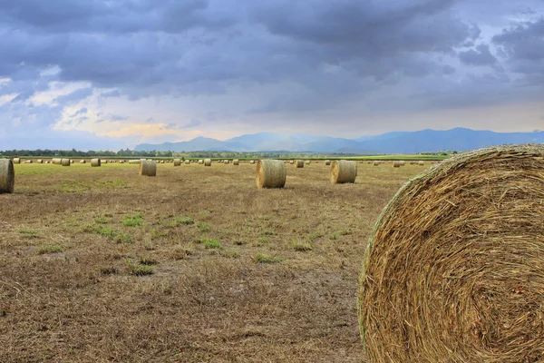 Hay fields with a cloudy sky — Stock Photo, Image