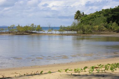 Port Douglas waterfront 8506
