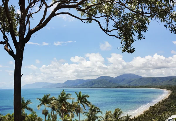 Port Douglas 8438 — Stockfoto