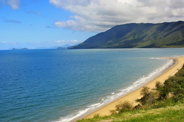 Rex vigia Port Douglas — Fotografia de Stock