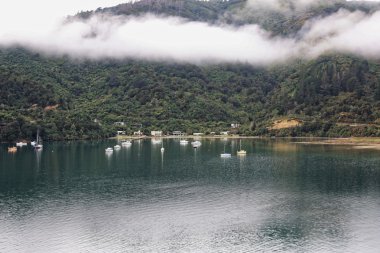 Kraliçe Charlotte sesler Picton