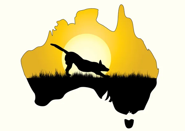 Mapa de Australia con dingo — Vector de stock