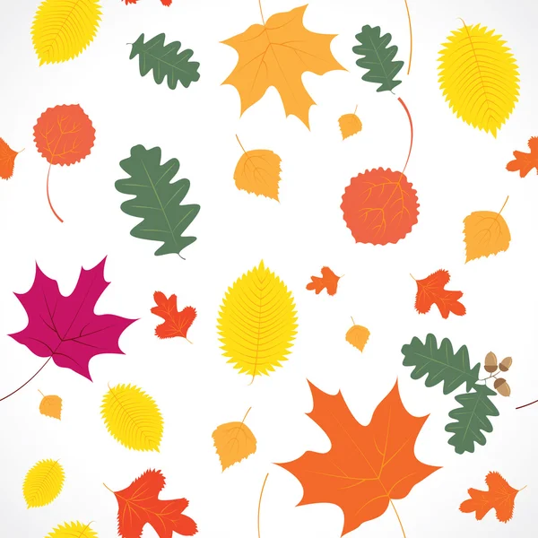 Autumn leaf fall — Stock Vector