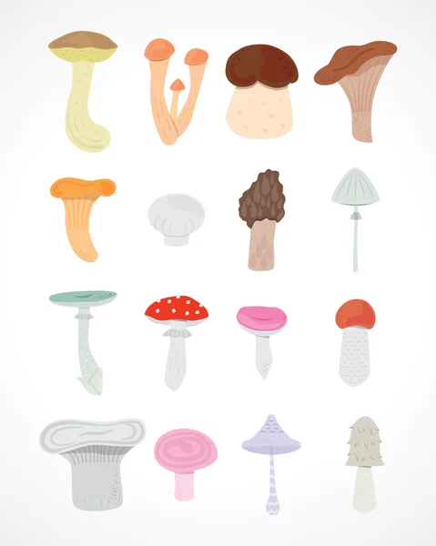 Mushrooms — Stock Vector