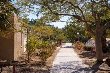 Eilat, Israel - February 12, 2016: Detail of a Kibbutz near at Eilat, Israel clipart