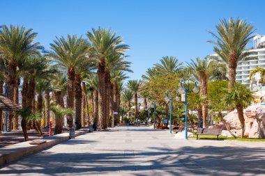 Eilat, İsrail - 11 Şubat 2016: Beach, Eilat, sokak detay. Eilat İsrail bir ünlü rekreasyon şehirdir.