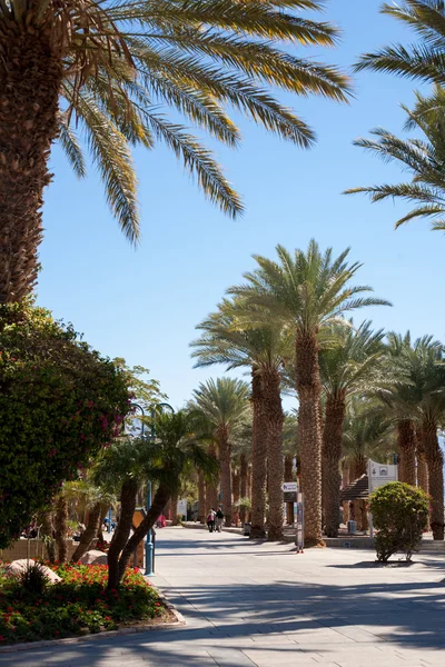 Eilat Israel Fevereiro 2016 Detalhe Promenade Eilat Eilat Uma Famosa — Fotografia de Stock