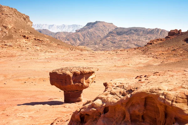 Il fungo arenaria — Foto Stock