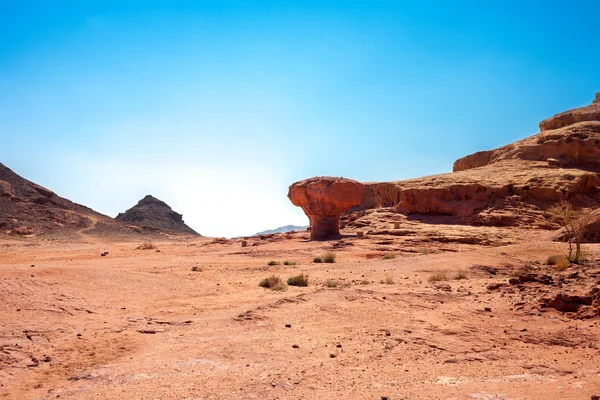 Homokkő gomba a Negev-sivatagban — Stock Fotó