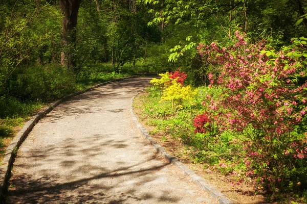 Der Gartenweg — Stockfoto