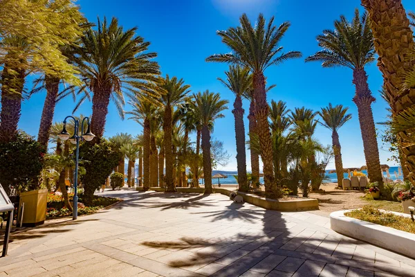 Eilat beach — Stok fotoğraf