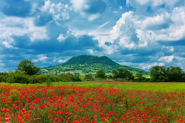 The Kali basin near to Badacsony, Hungary — Stock Photo, Image