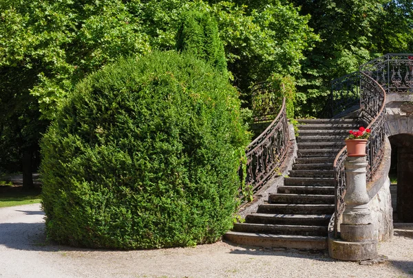 Steintreppe in einem Park — Stockfoto