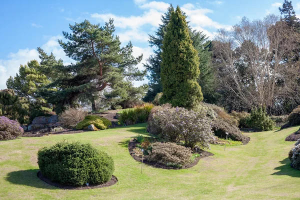 Эдинбургский королевский ботанический сад — стоковое фото