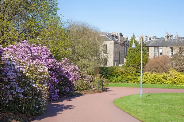 Edingurgh kungliga botaniskaträdgården — Stockfoto