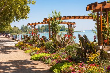 Flower garden at Lake Balaton's beach clipart