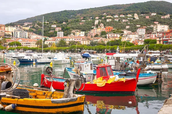 Πολύχρωμες ψαρόβαρκες — Φωτογραφία Αρχείου