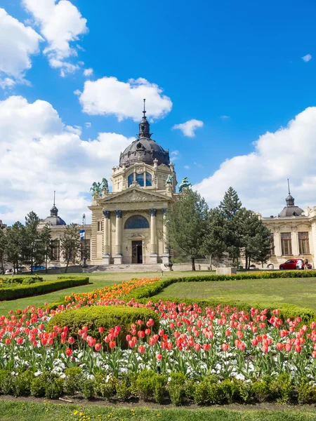 Szechenyi Bath spa médico — Fotografia de Stock