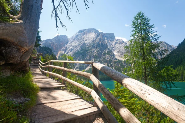 Turistaút vezet a Dolomitokban — Stock Fotó