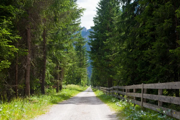 Strada di montagna nelle Dolomiti — Foto Stock