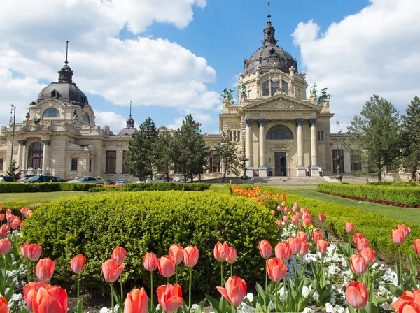 Ungheria con giardino fiorito nella parte anteriore . — Foto Stock